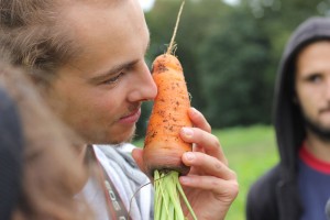 Workshop au Domaine de Toury    